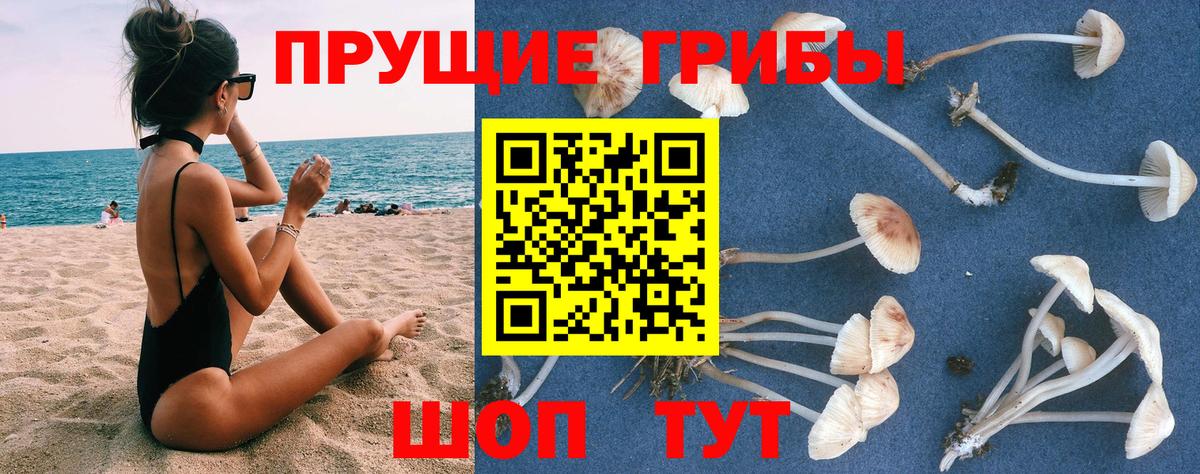 Галлюциногенные грибы Magic Shrooms  Вход с VPN  Галлюциногенные грибы мицелий  Волхов 