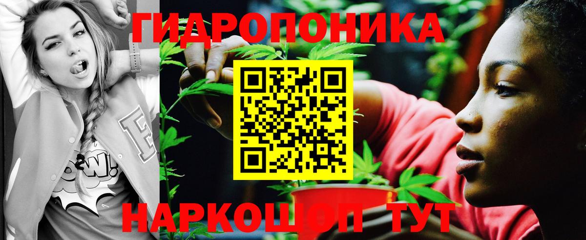 Марихуана THC 21% Волхов
